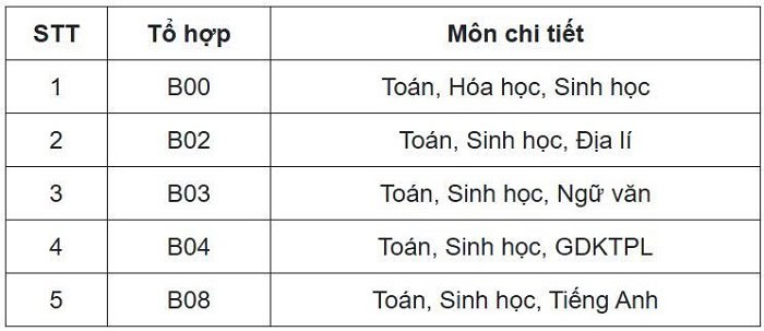Tổng hợp các khối thi đại học năm 2025 và ngành nghề tương ứng 2 khoi-b