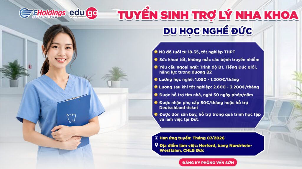 Thông báo tuyển sinh chương trình du học nghề Đức ngành Trợ lý nha khoa tại Herford, bang Nordrhein-Westfalen, CHLB Đức 2 Artboard 2
