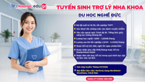 Thông báo tuyển sinh chương trình du học nghề Đức ngành Trợ lý nha khoa tại Herford, bang Nordrhein-Westfalen, CHLB Đức 9 Artboard 2
